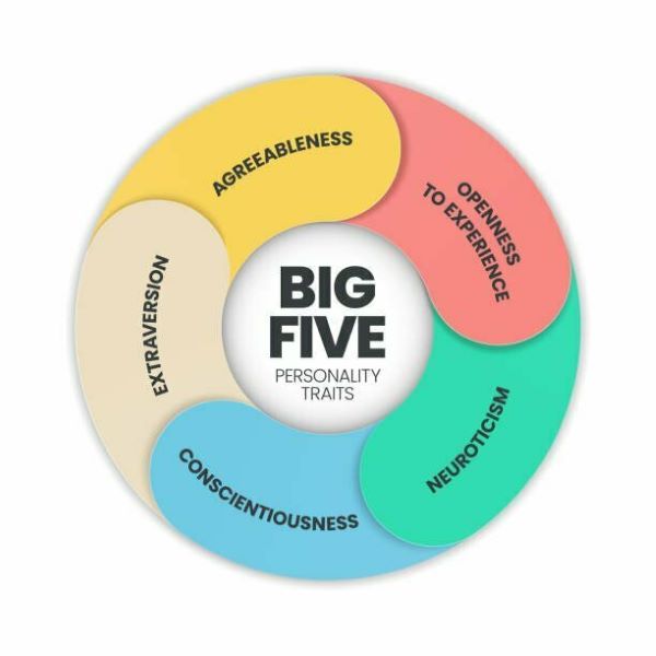 Đo lường tính cách toàn diện với Big Five để định hướng nghề nghiệp chính xác và hiệu quả hơn